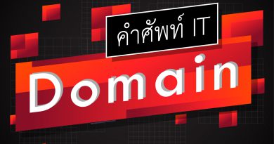 Domain คือ