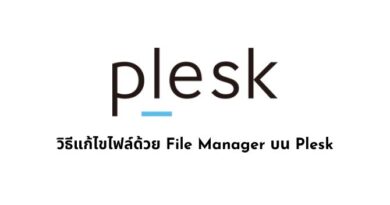 วิธีแก้ไขไฟล์ด้วย File Manager บน Plesk