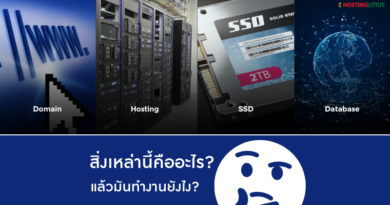 Hosting Domain SSD และ Database