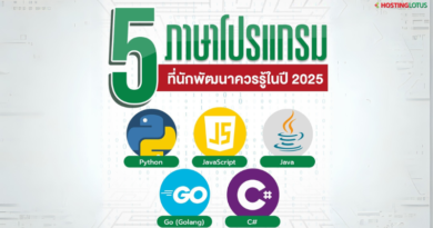 ภาษาโปรแกรม