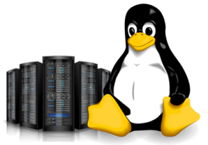 Cloud hosting linux