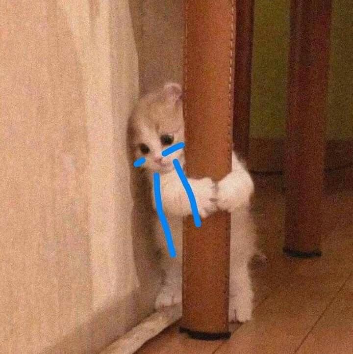 Le Pus